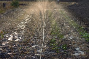 Water irrigation