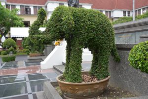 Elephant topiary