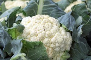 Cauliflower vegetable container