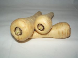 Parsnip vegetables container