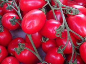 Plum tomatoes containers