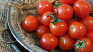 Salad Tomatoes Containers