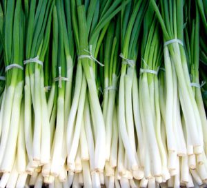 Spring onions vegetable containers