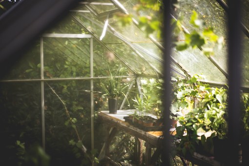 Greenhouse are a gardener friend