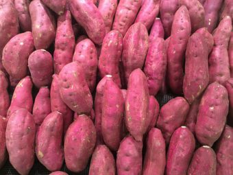 Sweet Potatoes are not seen in container gardens