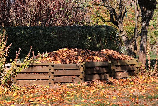Leaves are good in compost