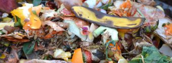 Kitchen waste ideal in compost