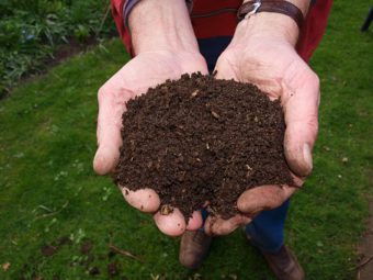 New compost look good enough to eat