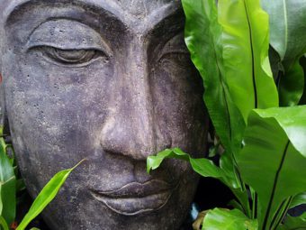 Buddha represents the Zen style of Gardening