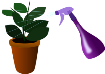 Spraying a plant is very effective