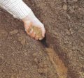 Step 5: Fill trench with a third of sharp sand.