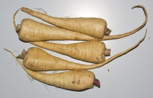 Parsnip