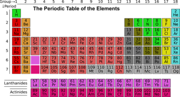 Give Your Plants the Right Nutrients-What Elements Do Plant Needs?