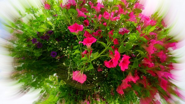 Hanging Baskets will need to be supported.