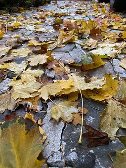 Leaf make a good soil improver