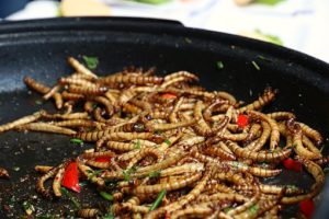 Mealworms make the fertilizer