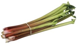 You will soon be harvesting rhubarb stalks