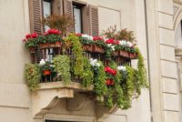 Balcony are ideal spaces for containers