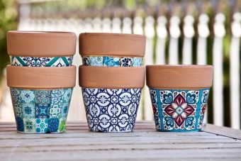 Go crazy with your terracotta pots