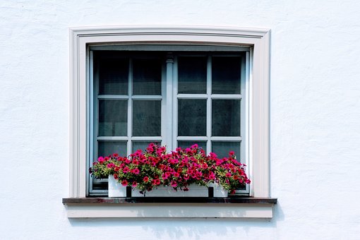 Window boxes brightens any window