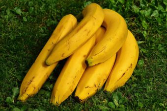 Bananas contain potassium.,so why would you use it in the garden?