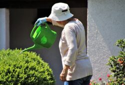 You cannot beat traditional watering using a can.