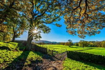 Which Way Does Your Garden Face- Getting the Planting Right Based on Sunlight Levels