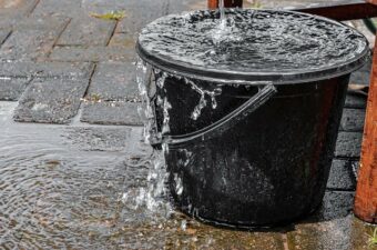 You can use a bucket to make your nettle and comfrey fertiliser