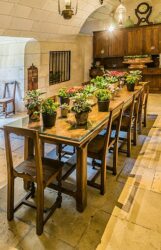 Plants in dining room