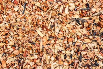 Wood chip makes excellent bedding for the worms