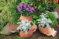 Amphorae make attractive pots in the garden