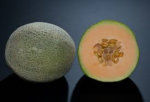 Cantaloupe melon