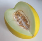 Honeydew melon