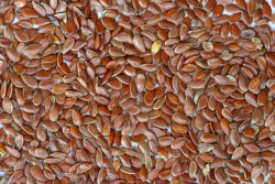 Seeds need exact conditions to germinate