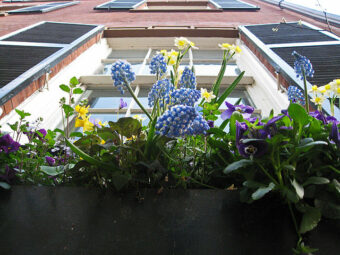 You can create a versatile window box for your home