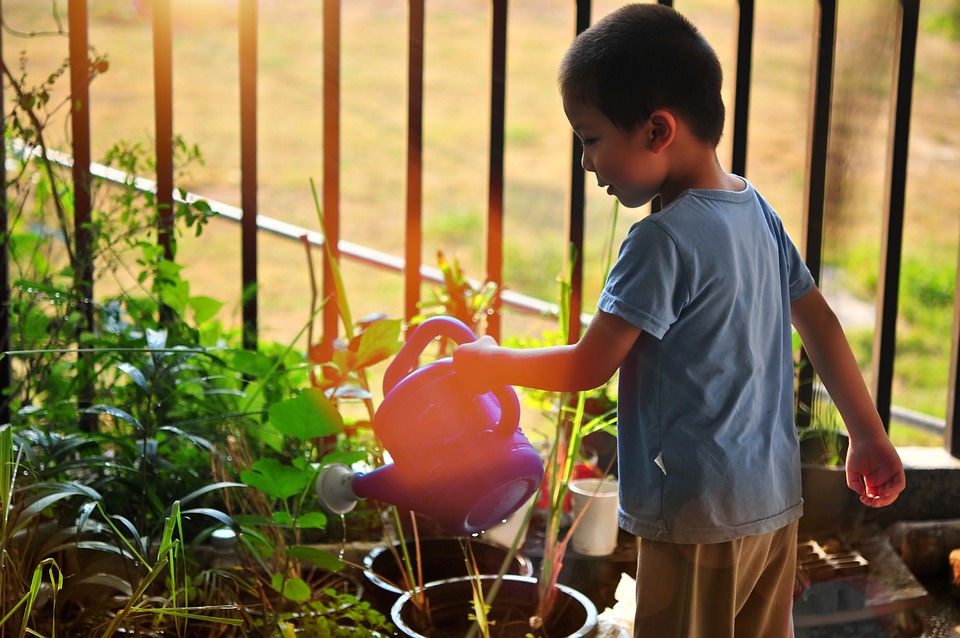 Get children involved by creating creative window boxes