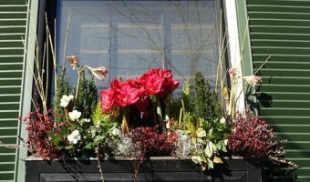Window boxes make excellent spring display.